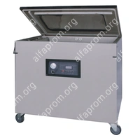 Напольный вакуумный упаковщик DZQ-800/2L (нерж., газ)